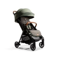 Joie Poussette Parcel Signature Pine