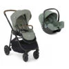 Joie Pack Duo Poussette Versatrax Laurel + Siège Auto I-snug 2 Laurel -Joie Soldes Boutique ji041261658
